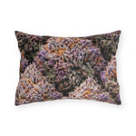 GDP DoobyUsGear Pillow